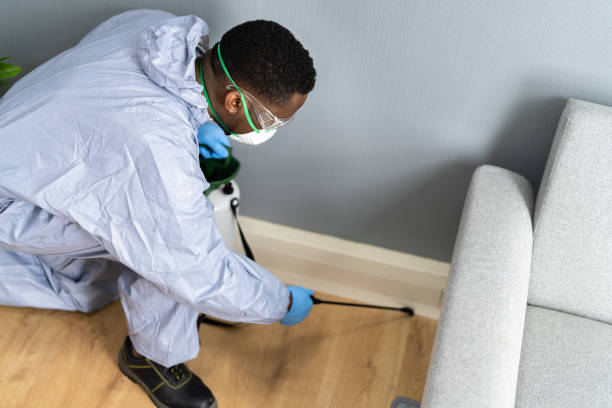 Emergency Pest Control in Westminster, MD